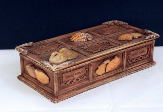 Box With Relief Shell Designs On Lid & Body Featuring Inner Sections