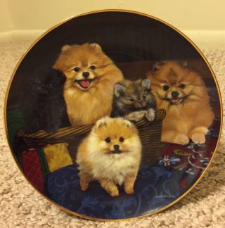 The Danbury Family Portrait Pomeranians Collector Plate By Amatrula Dog Euc