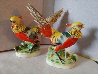 Vtg Pheasant Bird Figurines Japan Wales Porcelain Artmark 8 "