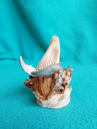 Harmony Kingdom Splashdown Whale Treasure Jest Box Figurine Retired Big Waves