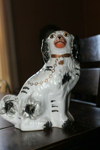 Vintage Staffordshire? Black And White Dog Figurine 8 " Tall