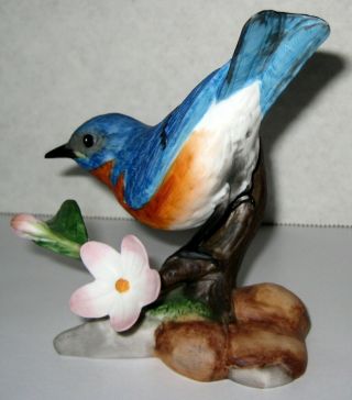 Eastern Bluebird Porcelain Figurine - Franklin Birds Blossoms of the World 3