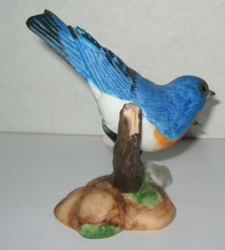 Eastern Bluebird Porcelain Figurine - Franklin Birds Blossoms of the World 5
