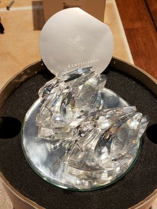 Swarovski Silver Crystal,  Large Swans (set Of 2) 7633 Nr63p,  In Orig Case &