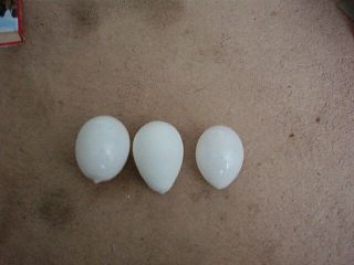 3 Large Vintage Milk Glass Hand Blown Egg - - Nesting Hen Broody