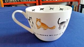 Portobello By Inspire Large Mug Cup Home Is Where My Cat Is
