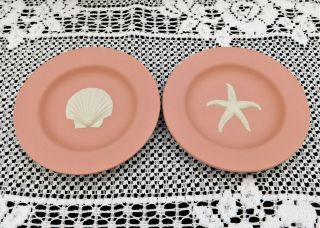 2 Pink Wedgwood Jasperware Decorative Plates Starfish & Sea Shell