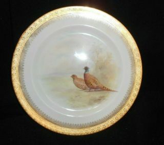 Royal Doulton Hand Painted Decorated Plate,  Signed T.  Wilson 1910