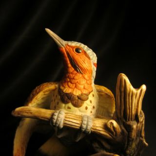 Flicker Bird - John James Audubon Porcelain 1986 2