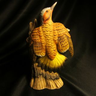Flicker Bird - John James Audubon Porcelain 1986 3
