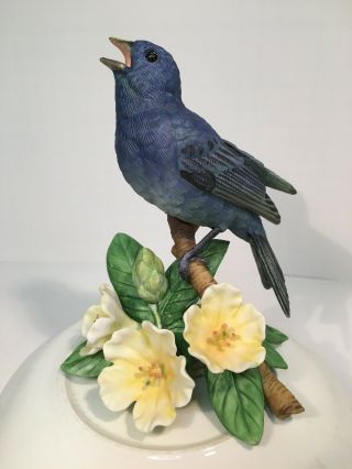 Lenox Indigo Bunting 1993 Fine Porcelain Bird Figurine Garden Certificatecoa Box