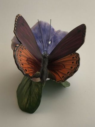 Franklin Porcelain Butterflies Of The World—lilac Tree Nymph—id Card,  1988