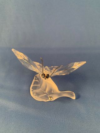 SWAROVSKI Figurine Butterfly on Leaf 182920 2