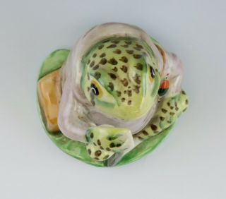 Porcelain/Pottery Beatrix Potter Mr Jeremy Fisher Frog/Toad Beswick Figurine 5