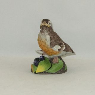Boehm Porcelain Bird Sculpture " Fledgling Robin " 400 - 74