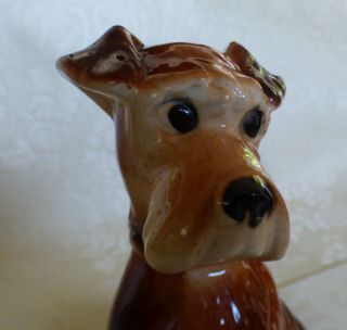 Vintage Scottish Terrier Scottie Dog Ceramic Figurine 6 " Tall Cool Looking
