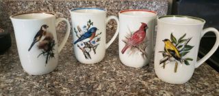 Set Of 4 Bird Designs Porcelain Coffee Tea Cups Cardinal Blue Jay Canary Sparrow