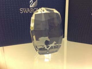 Swarovski Crystal Horse Paperweight Figurine - Nib