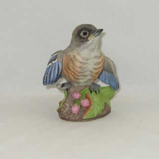 Boehm Porcelain Bird Sculpture " Fledgling Bluebird " 400 - 75