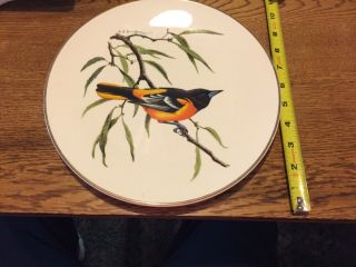 Avon Bird Plate Baltimore Oriole North American Songbird 1975 Rep.  Award Plate