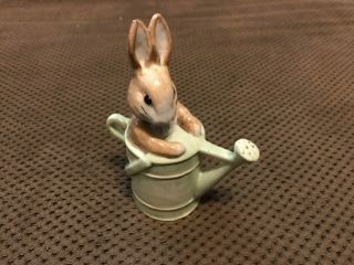 Beatrix Potter 1999 " Peter In The Watering Can " Beswick Royal Doulton Bp - 10a