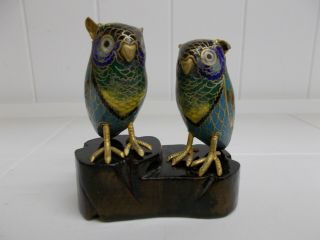 Kw - 525 Miniature Pair Cloisonné Enamel 2 " Owls W/ Brass Talons And Wooden Stand