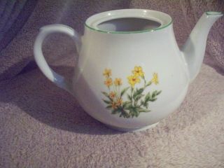 Planter,  Tea Pot,  White With Yellow Flowers,  Herb Garden