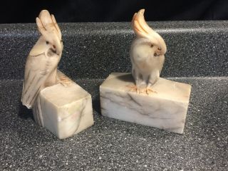 Vintage Hand Carved Italian Marble ? Alabaster Cockatiel Bookends Made In Italy