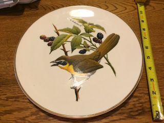 Avon Bird Plate Yellow - Breasted Chat American Songbird 1975 Rep Award Plate
