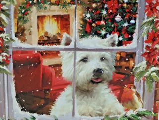Biscuit Tin White Terrier West Highland Dog Christmas Connoisseurs Empty Tin