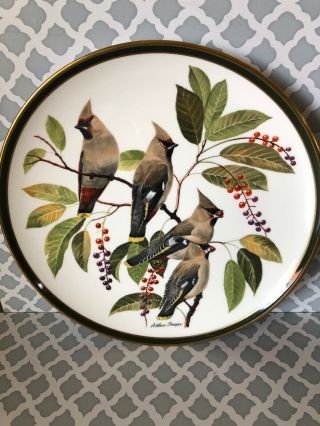 Franklin Porcelain Songbirds Of The World Collectible Plate Bohemian Waxwing