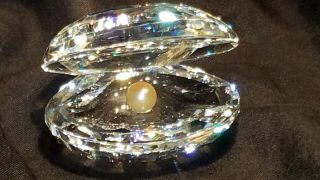 Swarovski Silver Crystal Large Oyster Shell With Pearl 7624 Nr 55 - Mib