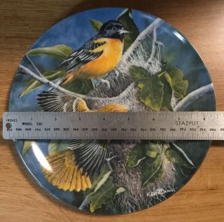 Baltimore Oriole Kevin Daniel 3rd Enc Britannica Birds of Garden Collector Plate 4