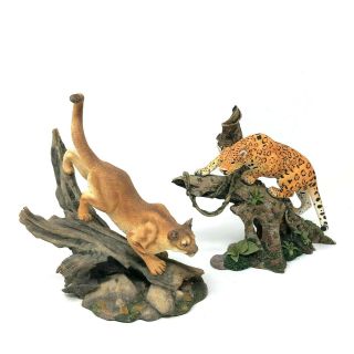 Danbury Jungle Predator & Silent Pursuit By Nick Bibby Jaguar Mountain Lion