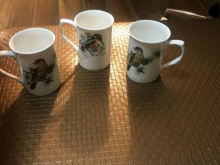 Gracie Bone China Coastline Imports Cup Mug Set Of 3 Exotic Birds