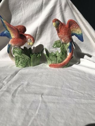 Colorful Pair 1986 Fitz And Floyd Parrot Bird Candle Holders