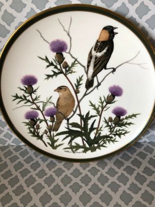 " Songbirds Of The World " Franklin Porcelain By Wedgwood Plate " Bobolink "