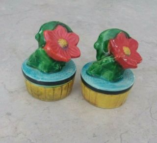 Flowering Cactus Figural Salt & Pepper Shakers Hand Painted Ceramic Vtg Japan