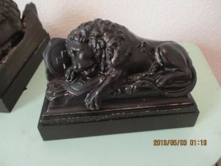 Antique Lion Lucerne Bronze Metal Book Ends,  Statue,  Circa 1900 - 1920