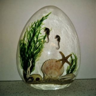 Vintage Lucite Acrylic Nautical Paperweight Seahorse Shells Ocean Egg Shape 6 "