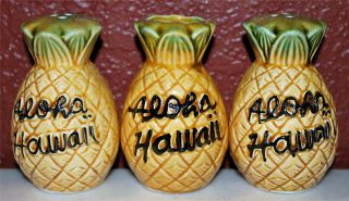 Vintage Aloha Hawaii Pineapple Cruet Salt & Pepper Set Shakers Sp3