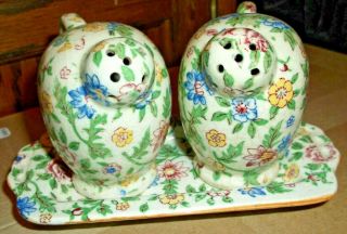Made In Japan Vintage Pottery Watering Can Salt And Pepper Shakers