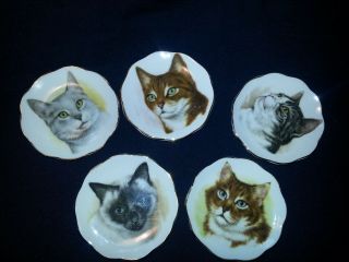 Five (5) Fine Bone China 3 " Saucers Made In England Cats With Gold Looking Trim