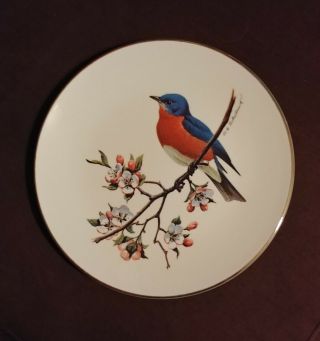 Avon Bluebird North American Songbird Plate By Don Eckelberry