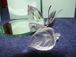 Lovely Swarovski Crystal Butterfly On A Leaf 182920 Retired