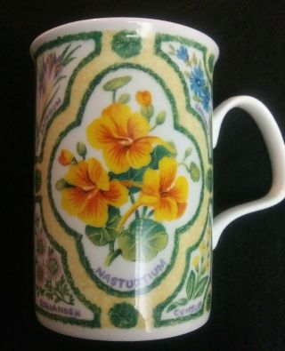 Vintage 1997 Roy Kirkham The Herb Garden Coffee Tea Mug 4 " Tall