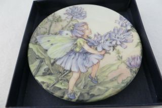 Royal Worcester Chicory Flower Fairies 3.  75 