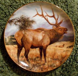 " The Warning " High Country Pride By Bruce Miller 7 " Plate Bull Elk Danbury