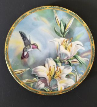 Ruby - Throated Humming Bird And Lilies Plate By Cyndi Nelson 1st Issue,  1989.