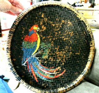 Vtg Woven Wood? Plastic? Round 14 " Tray With A Colorful Bird Parrot?